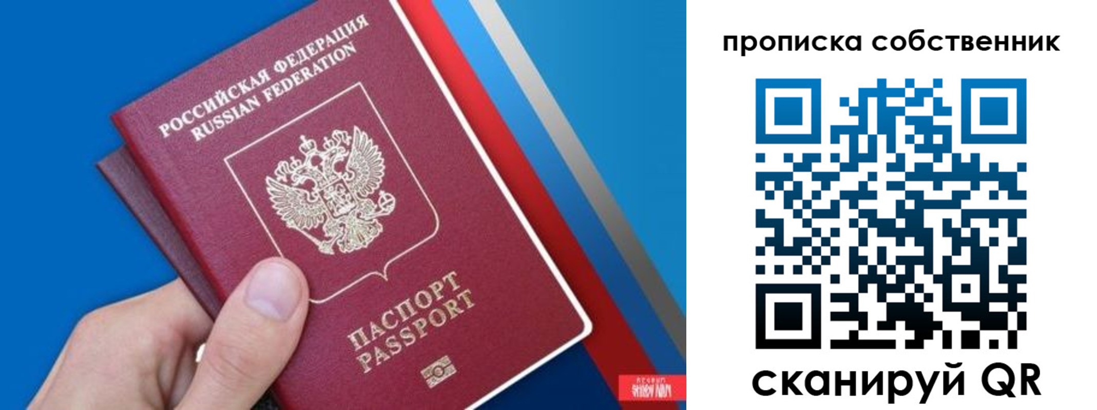 прописка в квартире в Камышлове